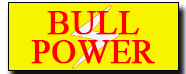Bull Power- Akal Induction Pvt. Ltd.